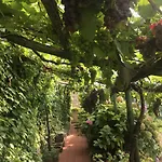 Le Apartahotel Ravello