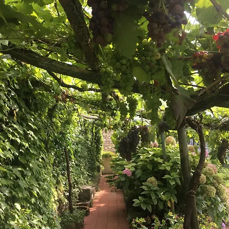 Le 3* Ravello